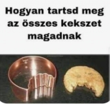 Napi humor